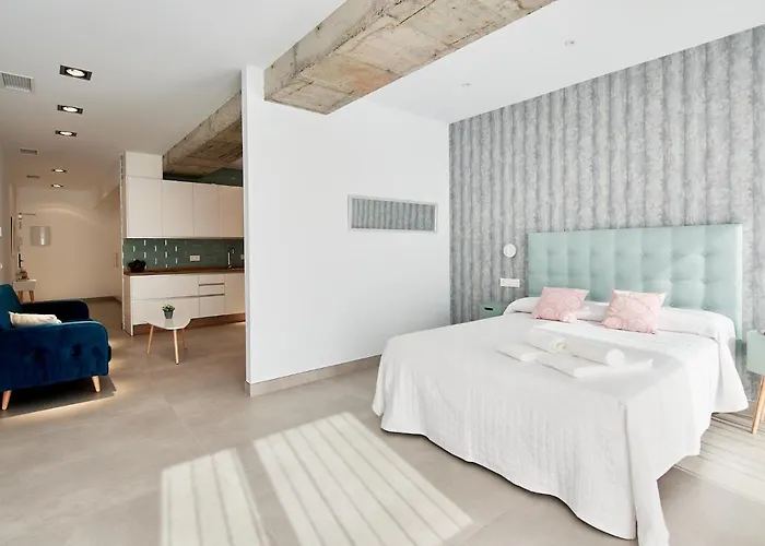 9 Nidos Centrica - Nuevo Plasencia